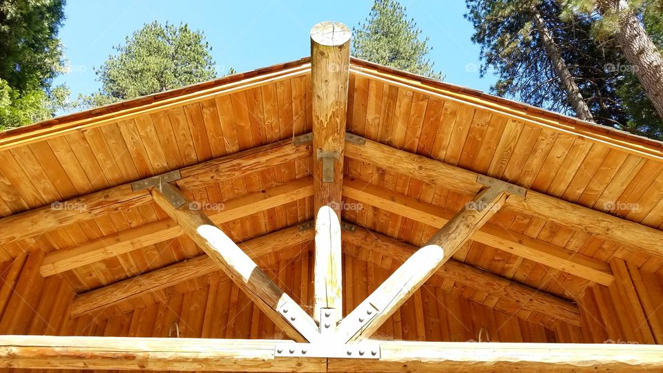 Cabin log roof