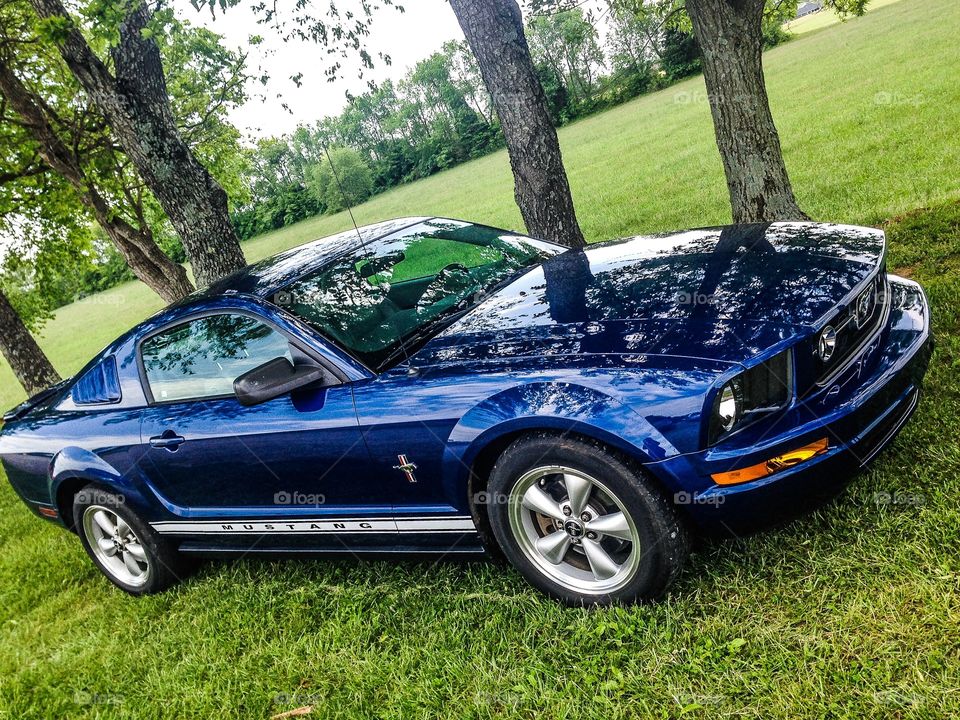 Mustang car. Ford Mustang