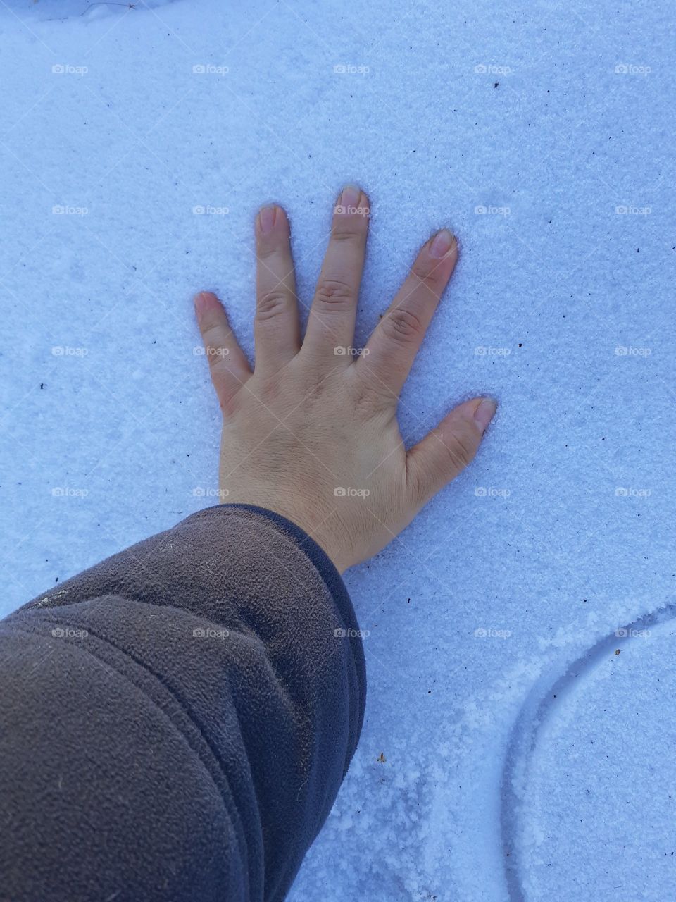 hand in the snow