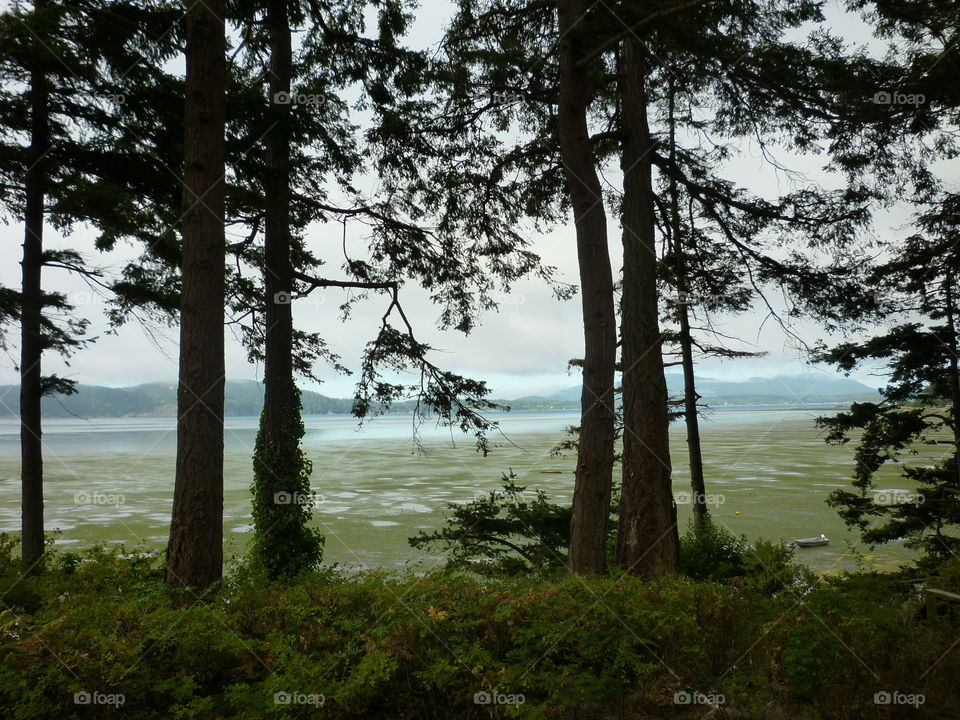 Samish Bay at low tide