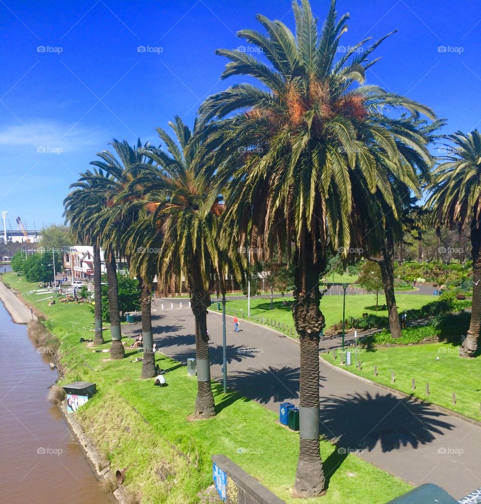 Along the Yarra River in Melbourne.