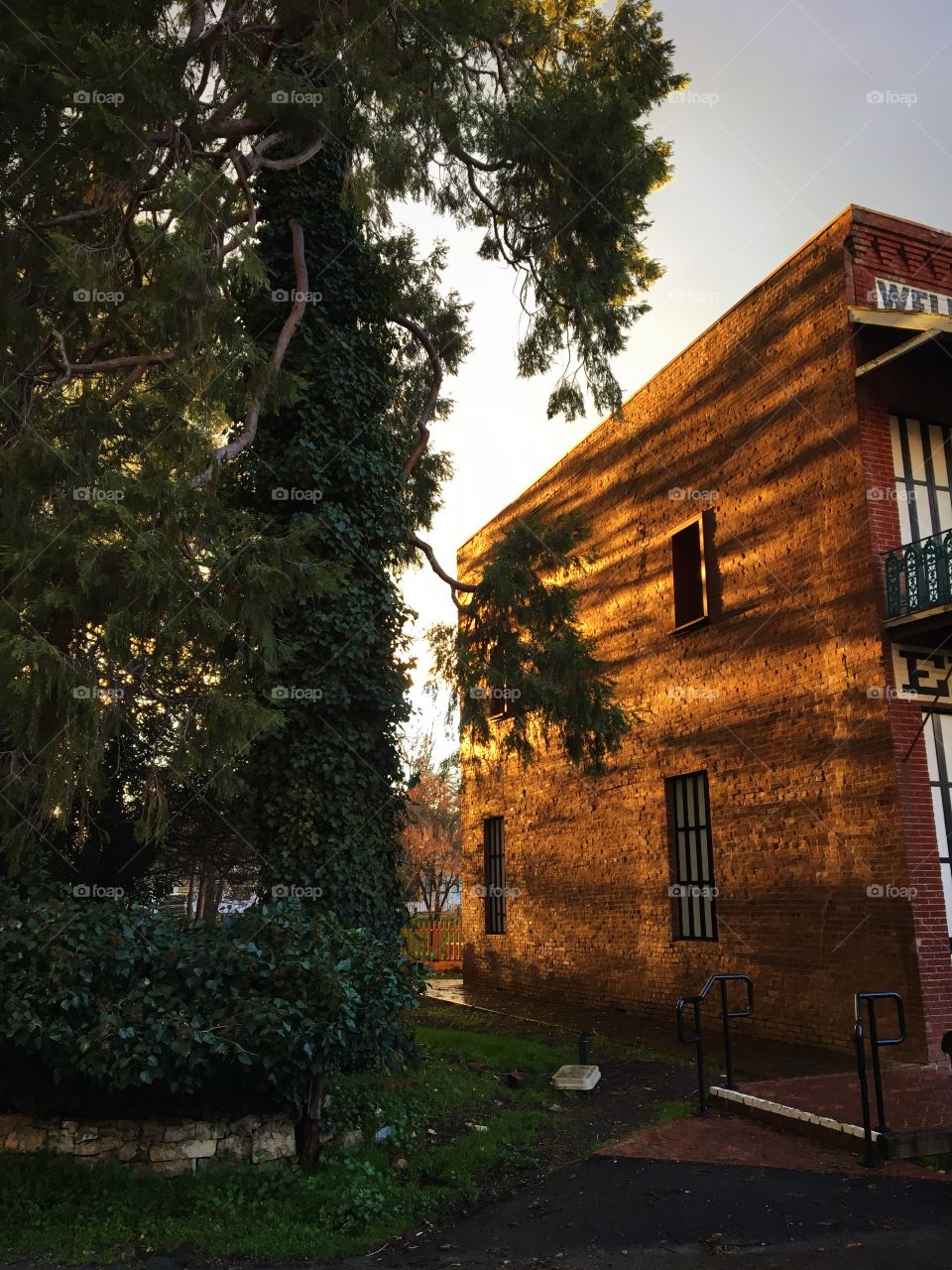 Nature and architecture 