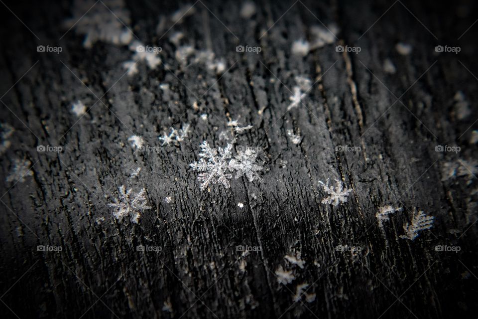 Contrast, nature and texture!