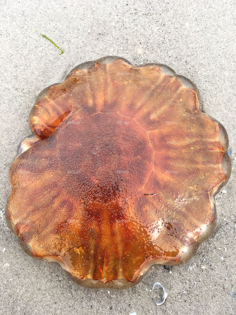 Captured with iPhone 6s Plus 