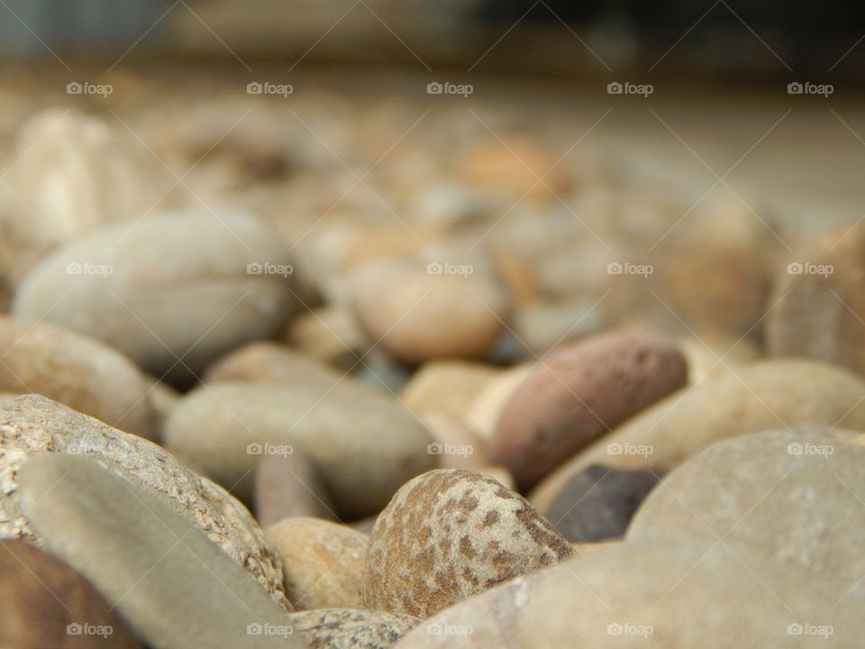 Rocks