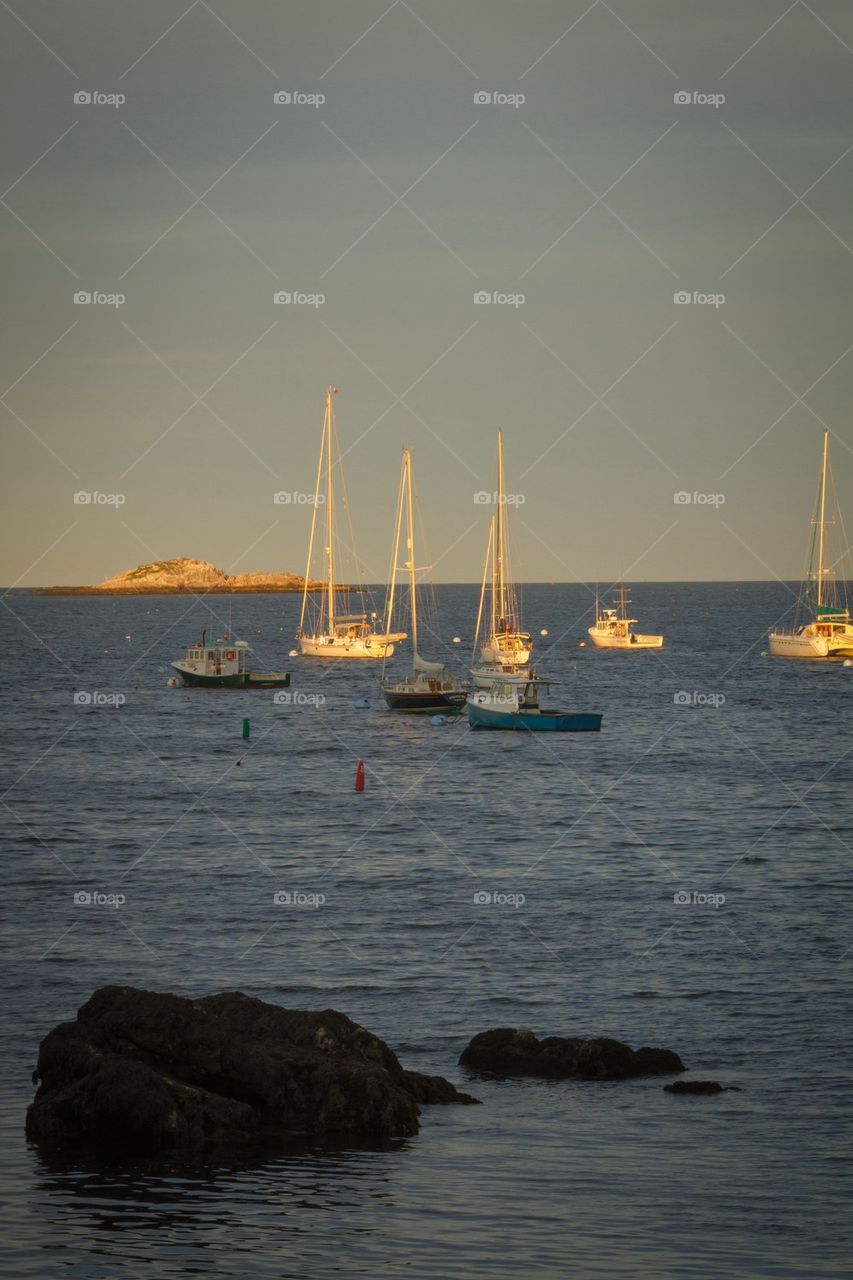 Boats in the marina 