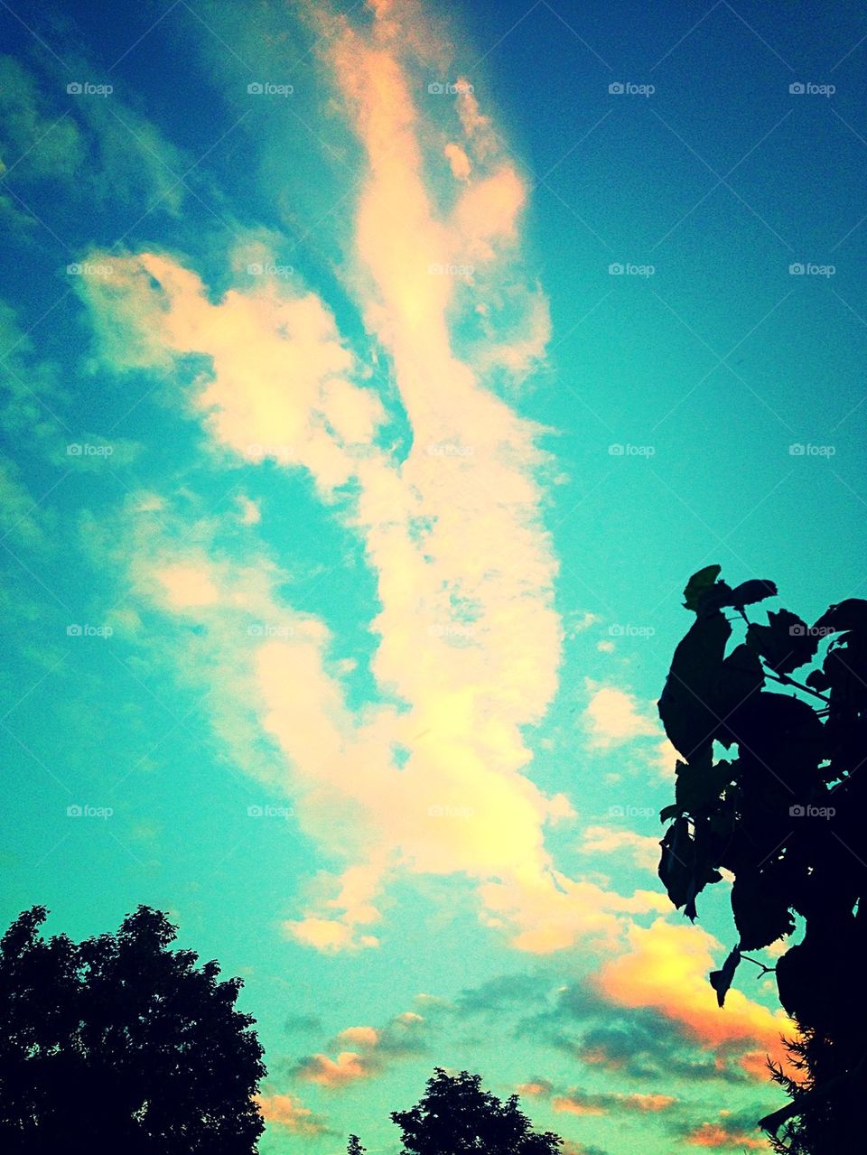 Turquoise sky
