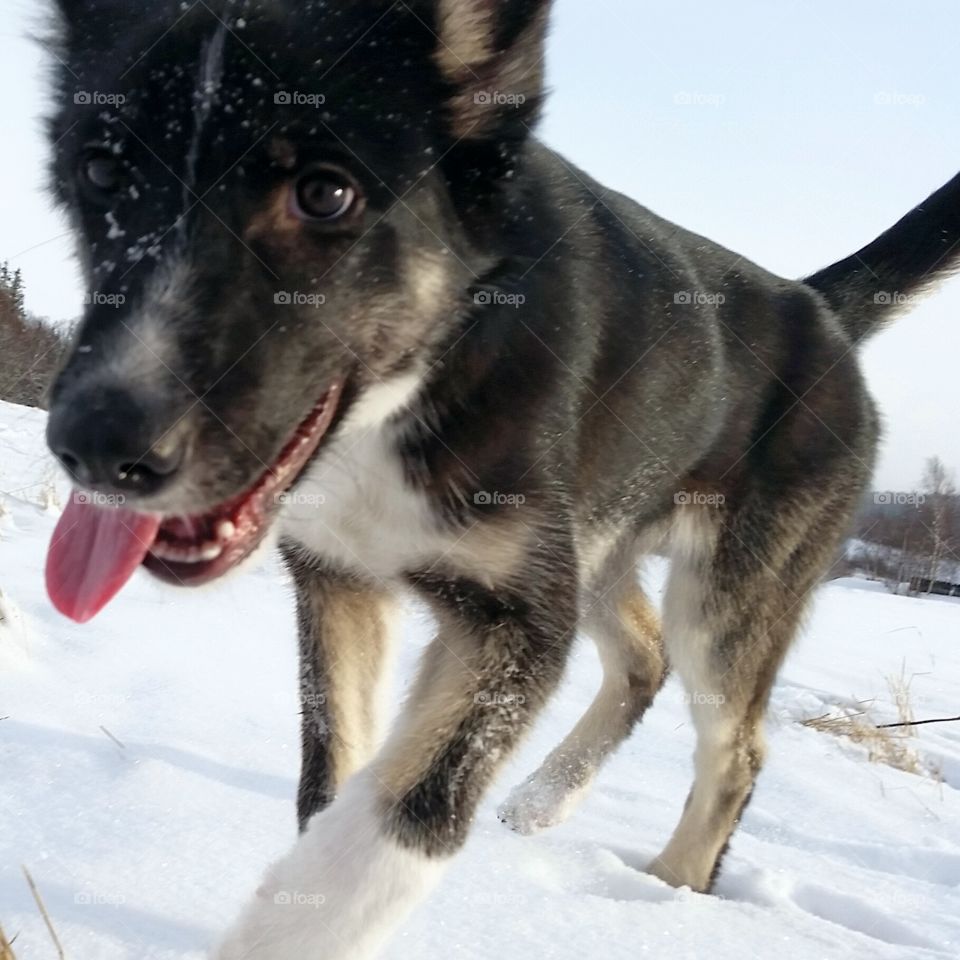 Happy dog face!! 😀