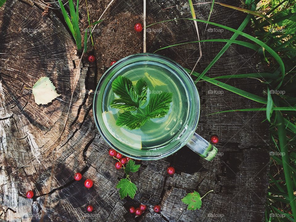 Cup of herbal tea