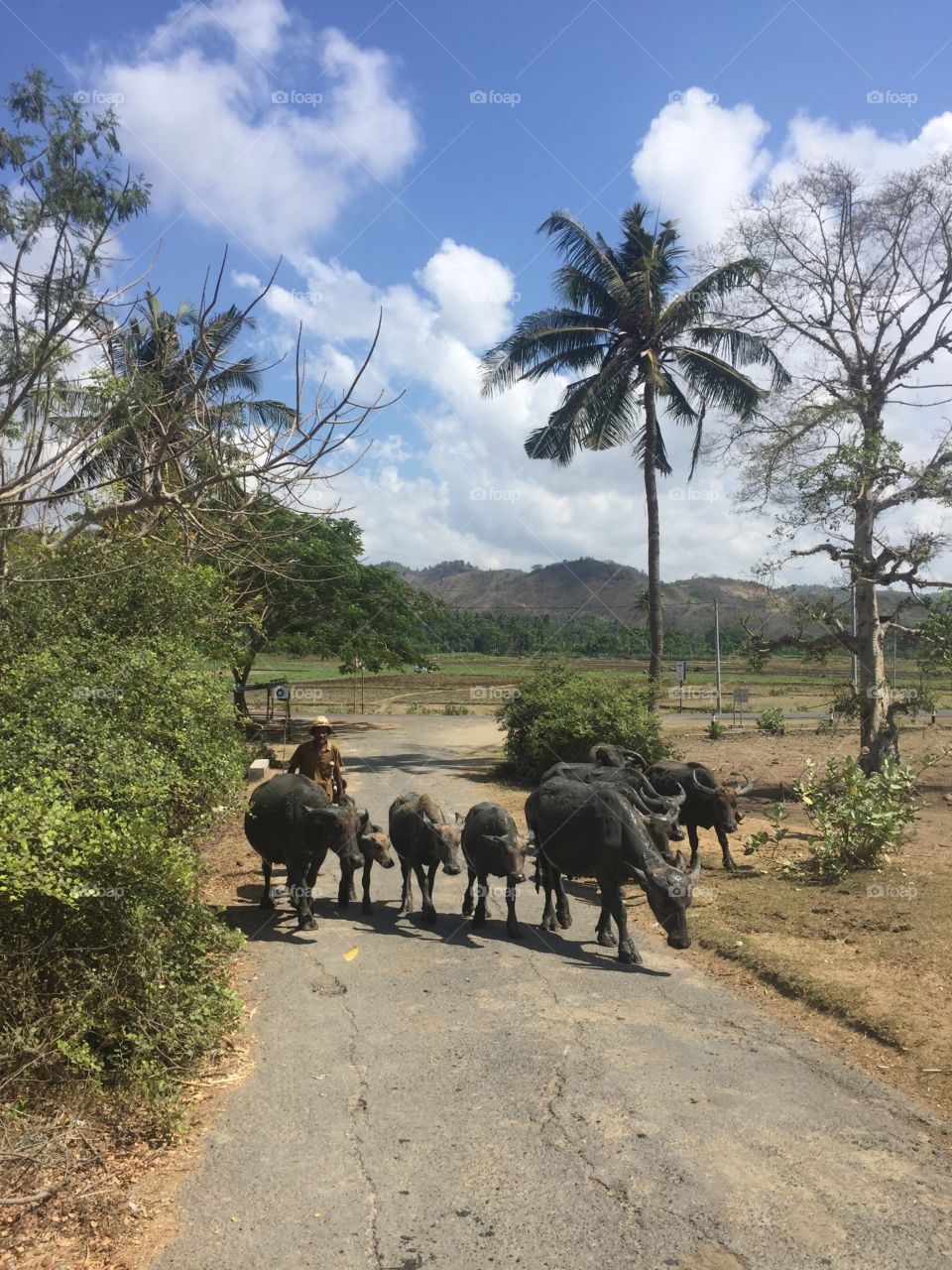 Lombok