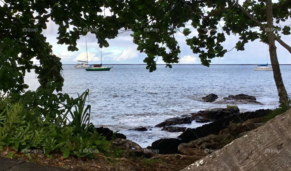 Sailboats at Hilo Bay