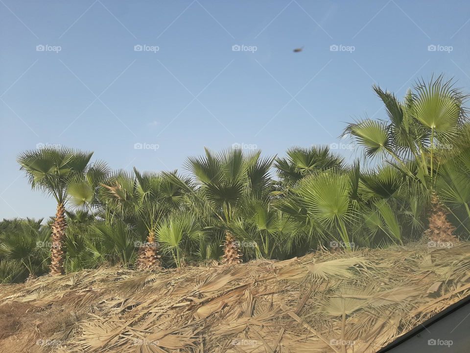 Please make me happy, I am poor, I need your help with support