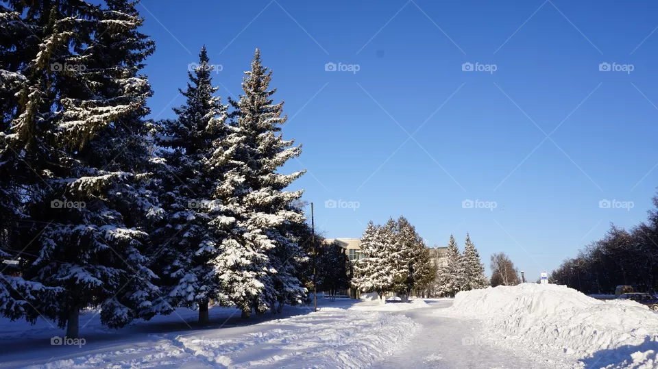 snow