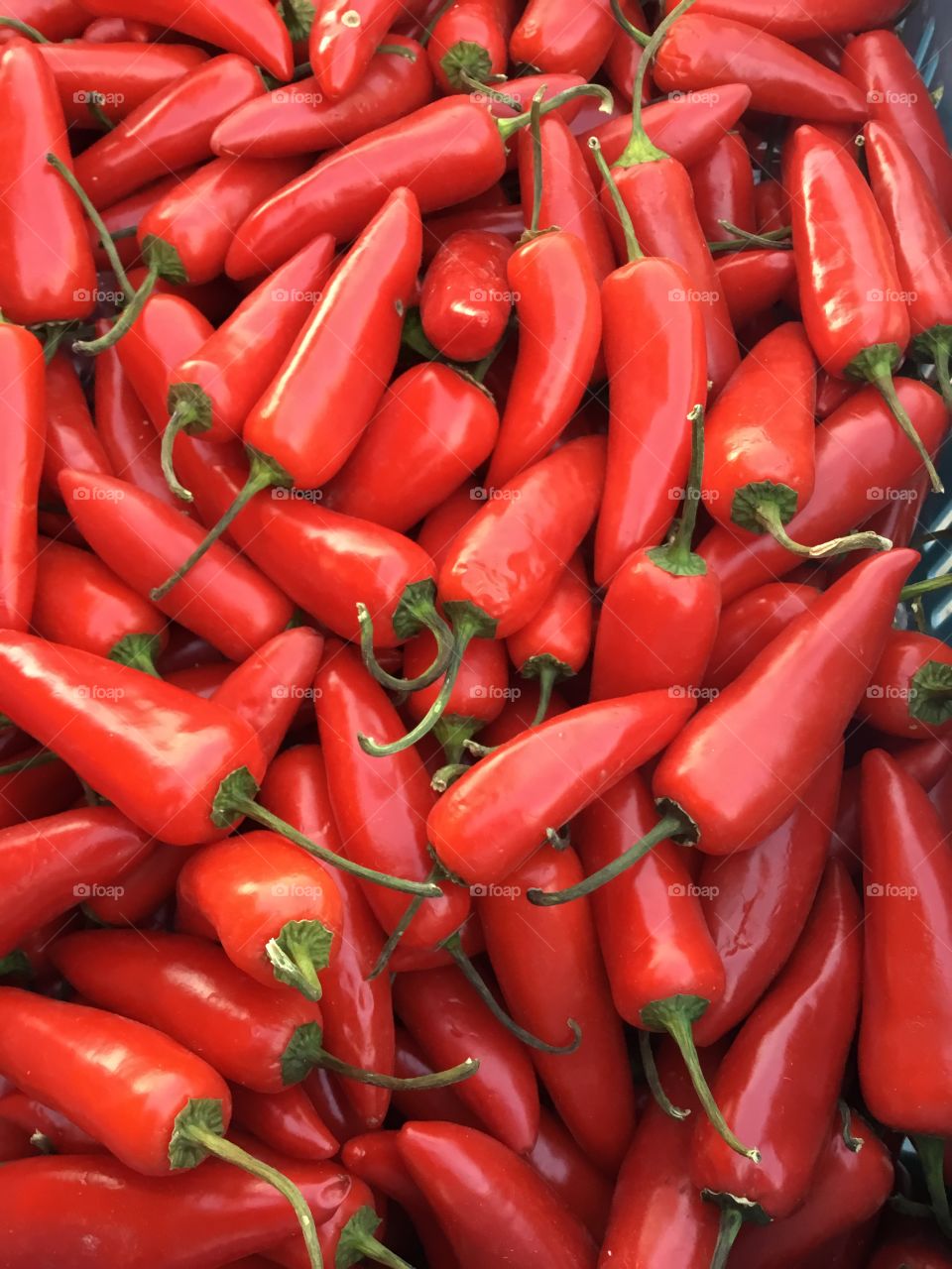 Color Love - A bunch of colorful red peppers that have been harvested from my garden