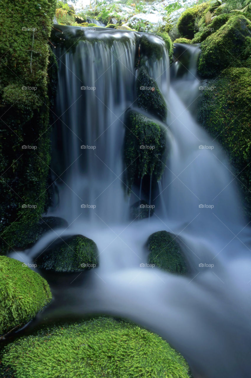Waterfall and rocks covered with moss