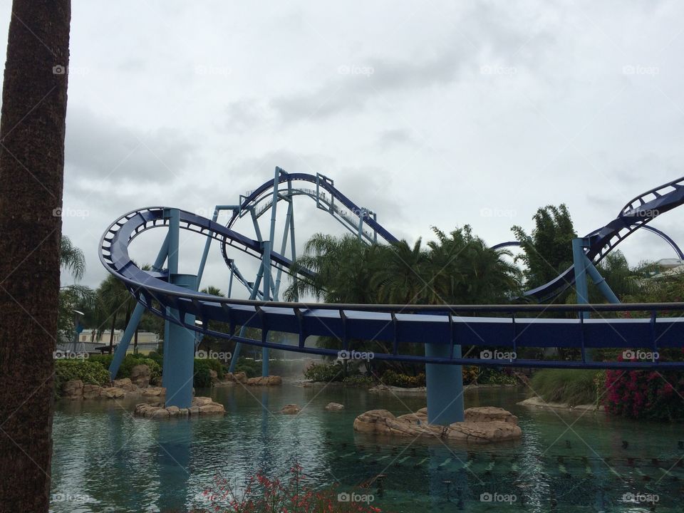 Manta ray coaster