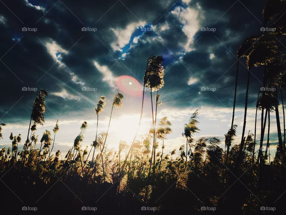 Sunset, Sky, Sun, Nature, Landscape
