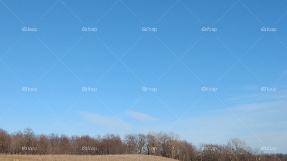 Landscape, Nature, Tree, Sky, Fall