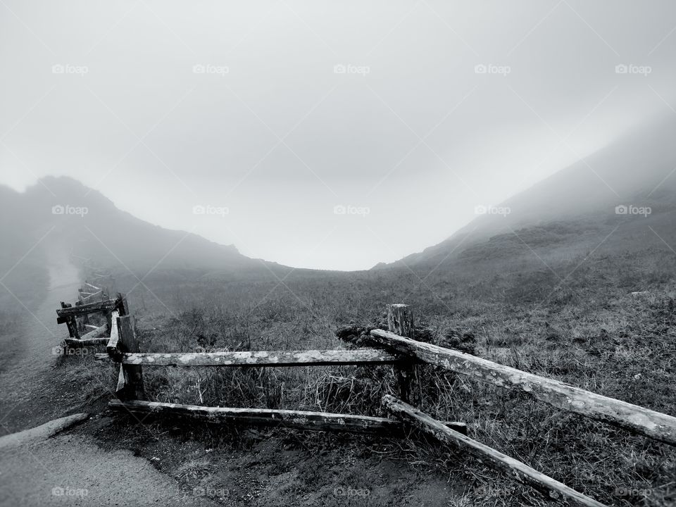 Foggy Morning at Point Reyes