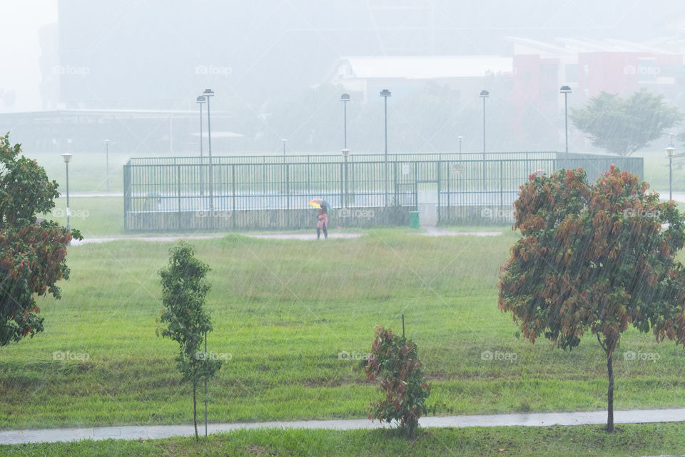 Heavy downpour rainy day stormy day in the afternoon