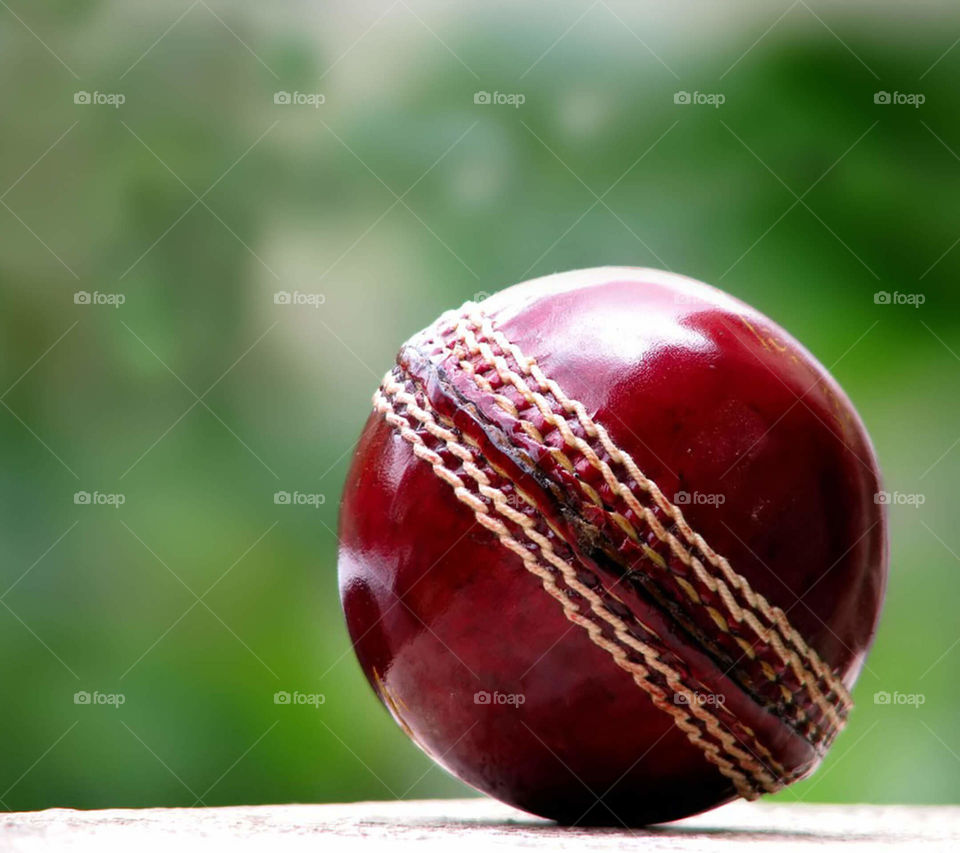 cricket of part my life