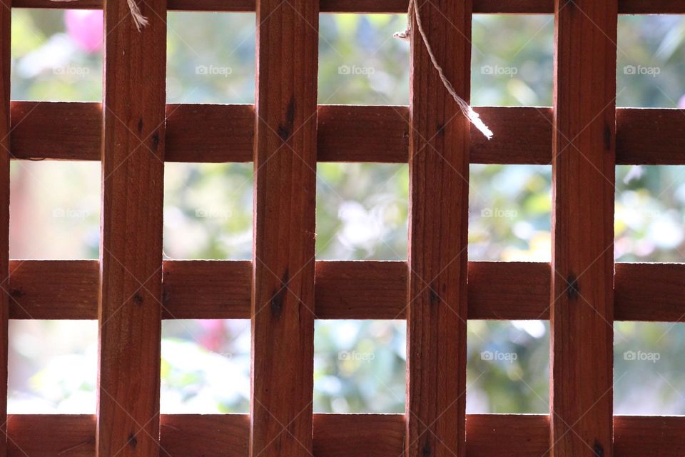 Gridded wood, overcasting a beautiful flower garden behind