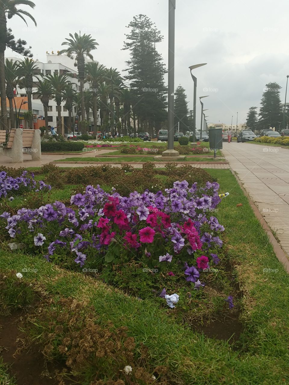 garden of flowers in mohammadia morroco