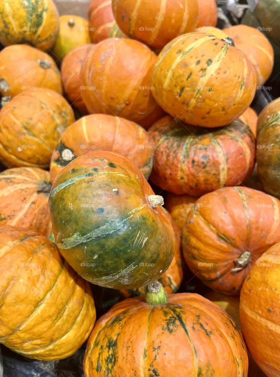 Orange pumpkins close up. Autumn. Halloween. Background