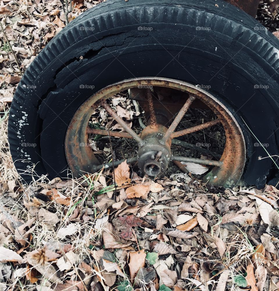 Old farm equipment wheel found on hunt. 