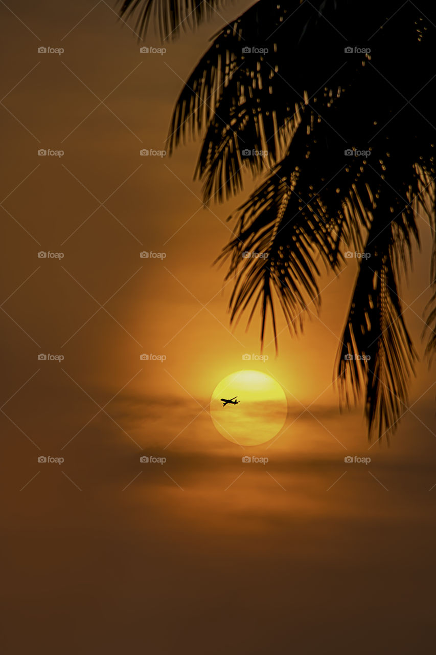 The golden light of the sun and clouds in the sky with the shadow of the plane.