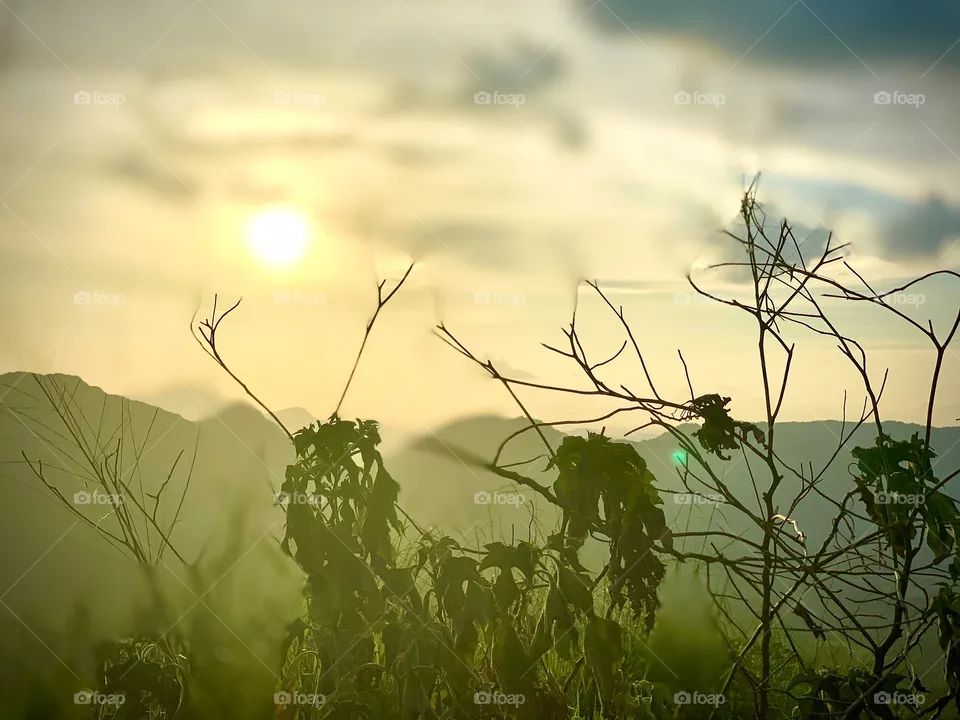 Sunrise 