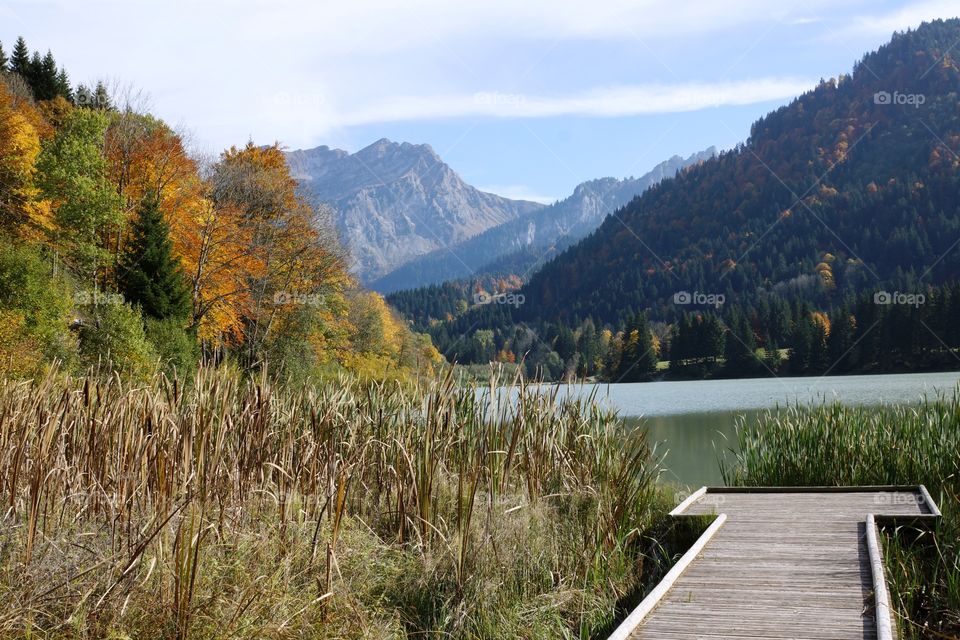 Lac en automne 