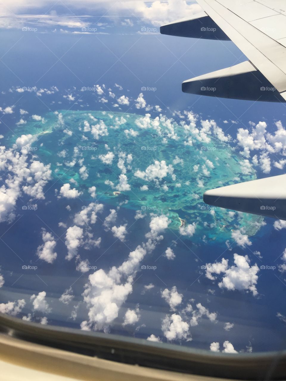 Scorpion Reef in Gulf of Mexico