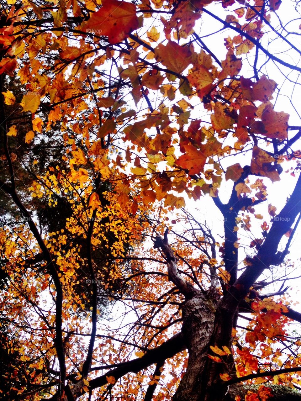 sky yellow nature outdoors by jmh