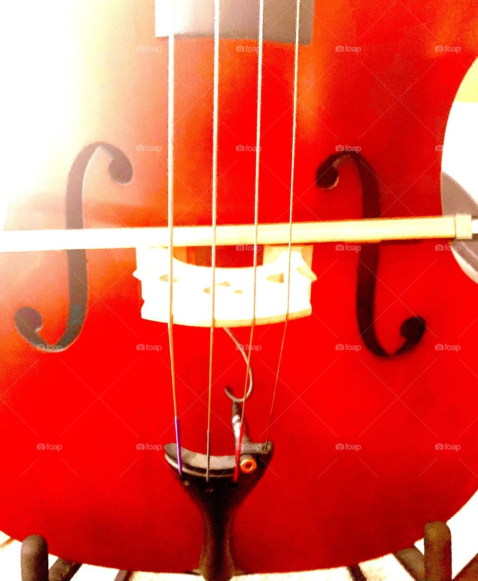 Upright bass 