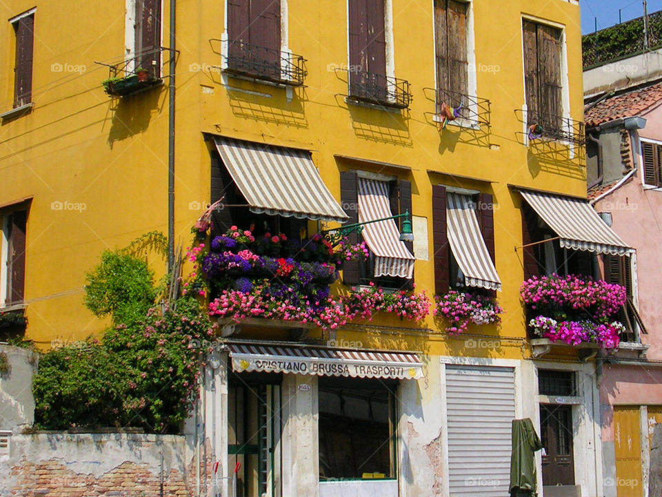 Colorful Window Boxes