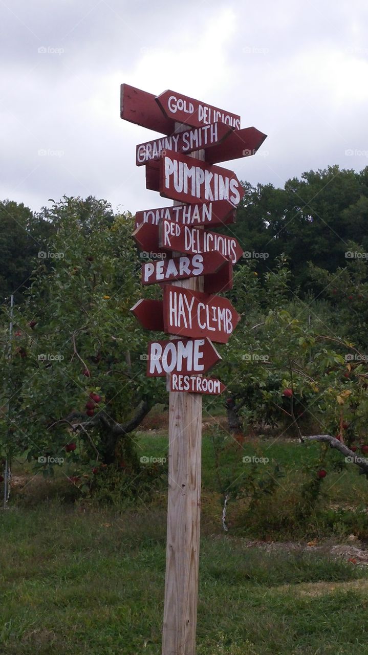 Signal, No Person, Road, Sign, Signalise