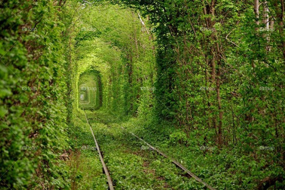 Railroad tunel