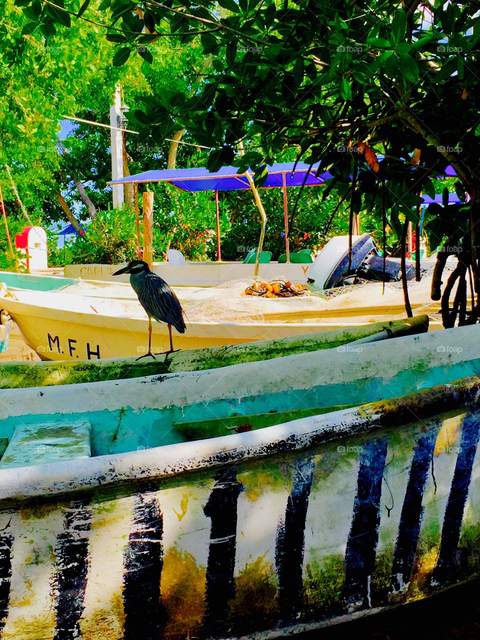 Rural fishing boats 