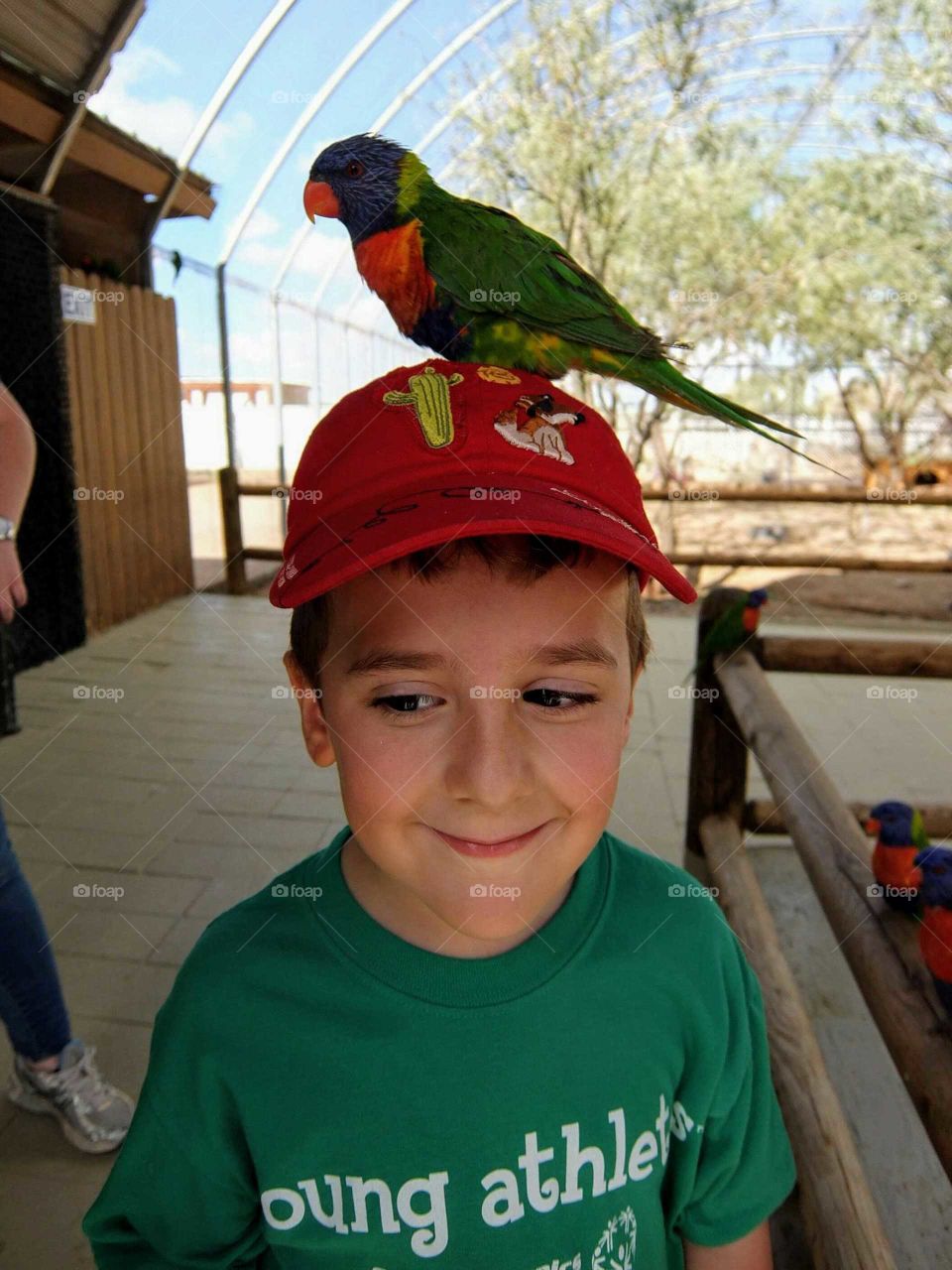 Bird on his head