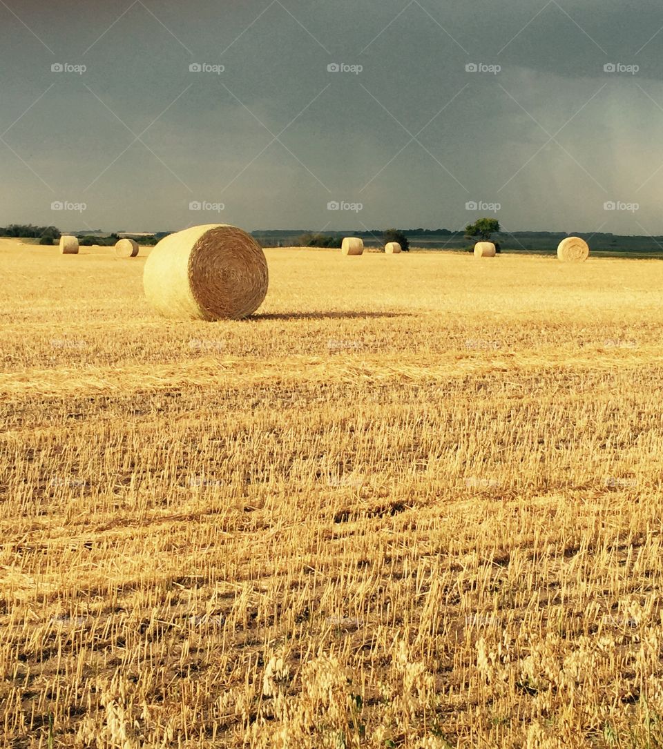Hay bales contrast