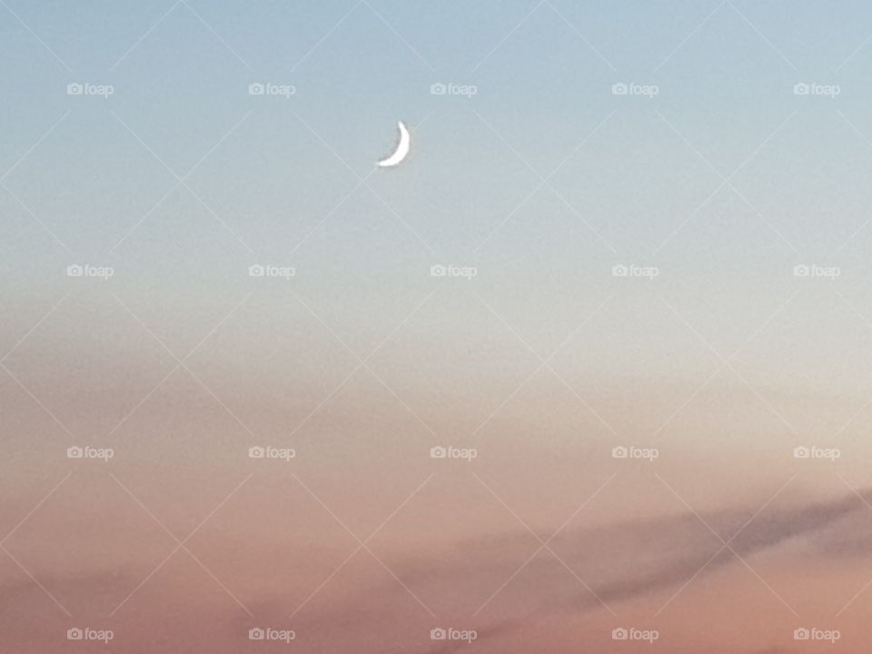 The Moon is Earth's only natural satellite and is one of the 5 largest moons in our solar system.