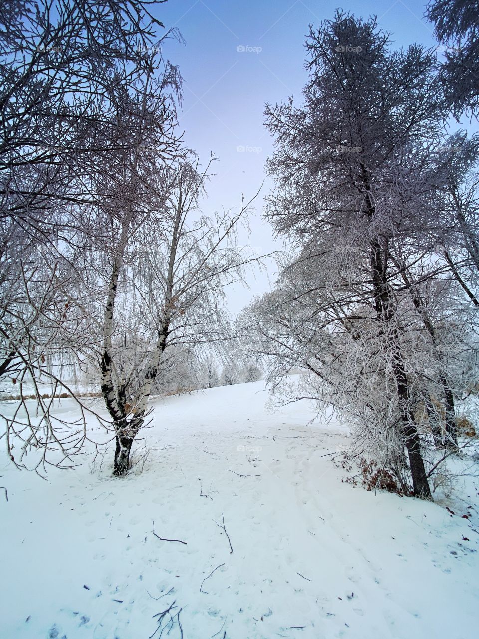 Winter nature walk