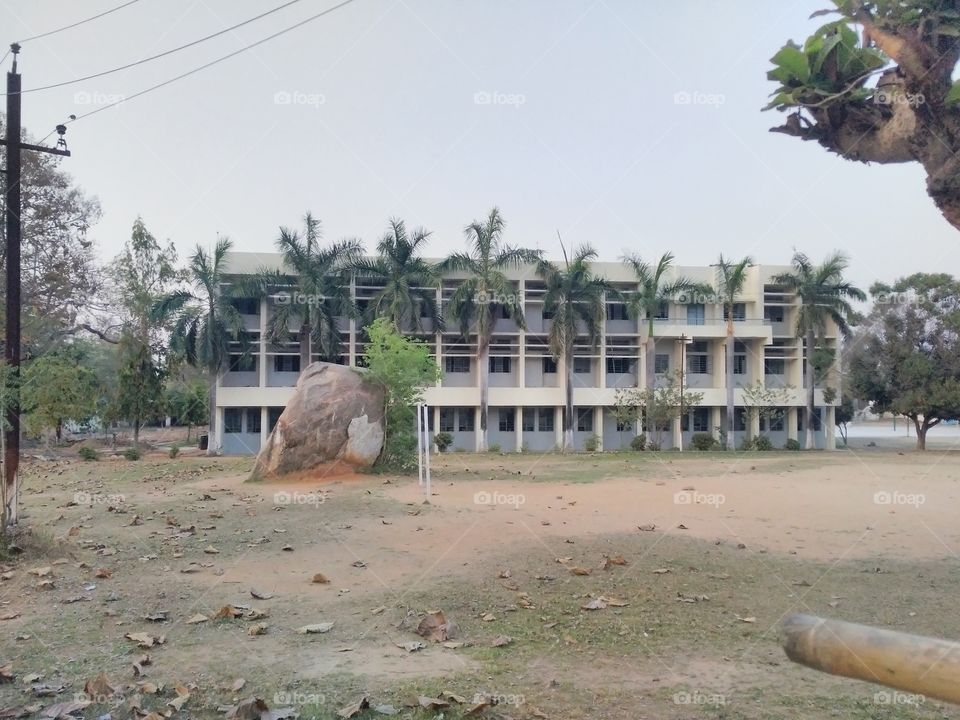 A beautiful scene of school building in the City.