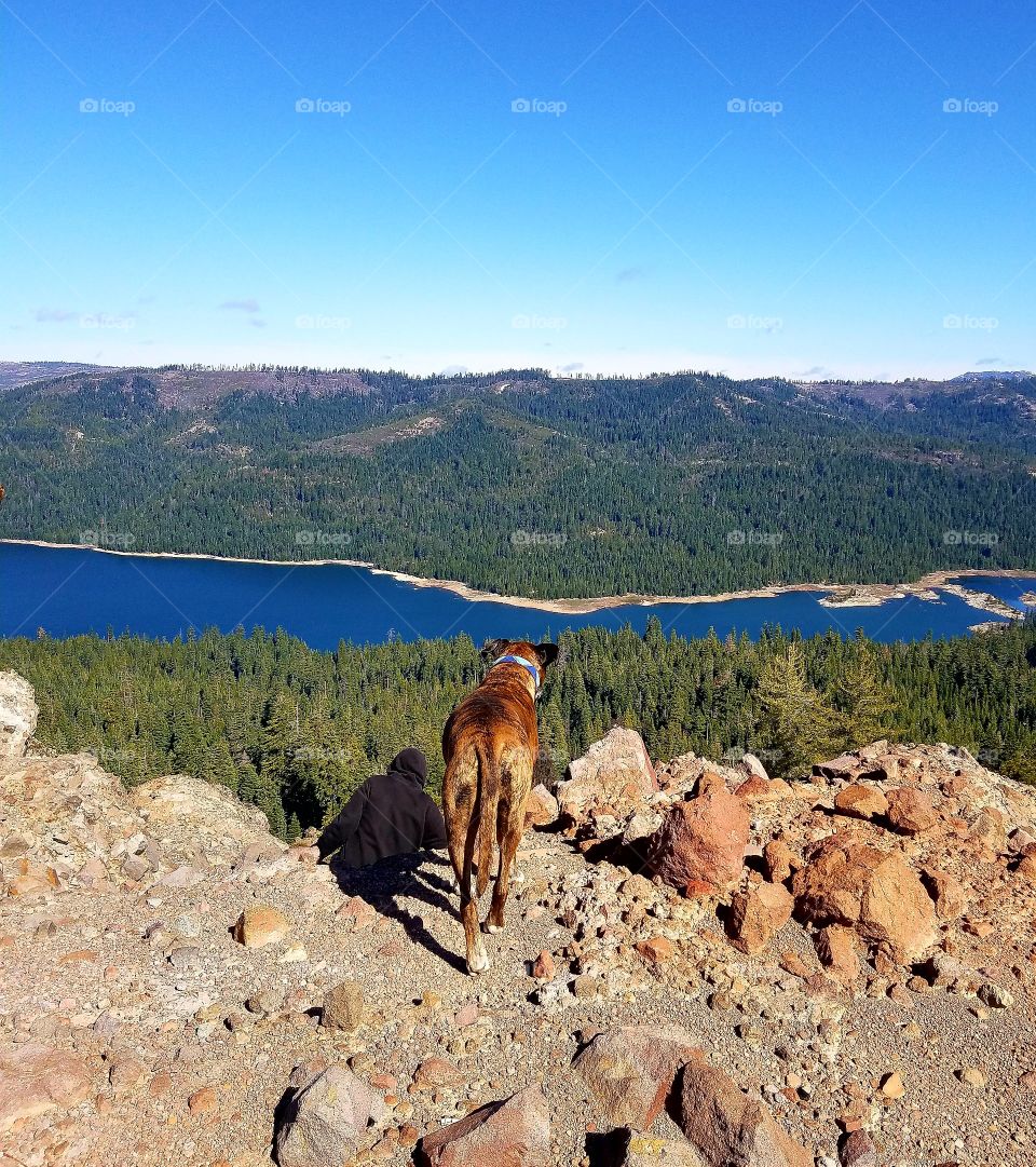 Thor overlooking the Sierra's