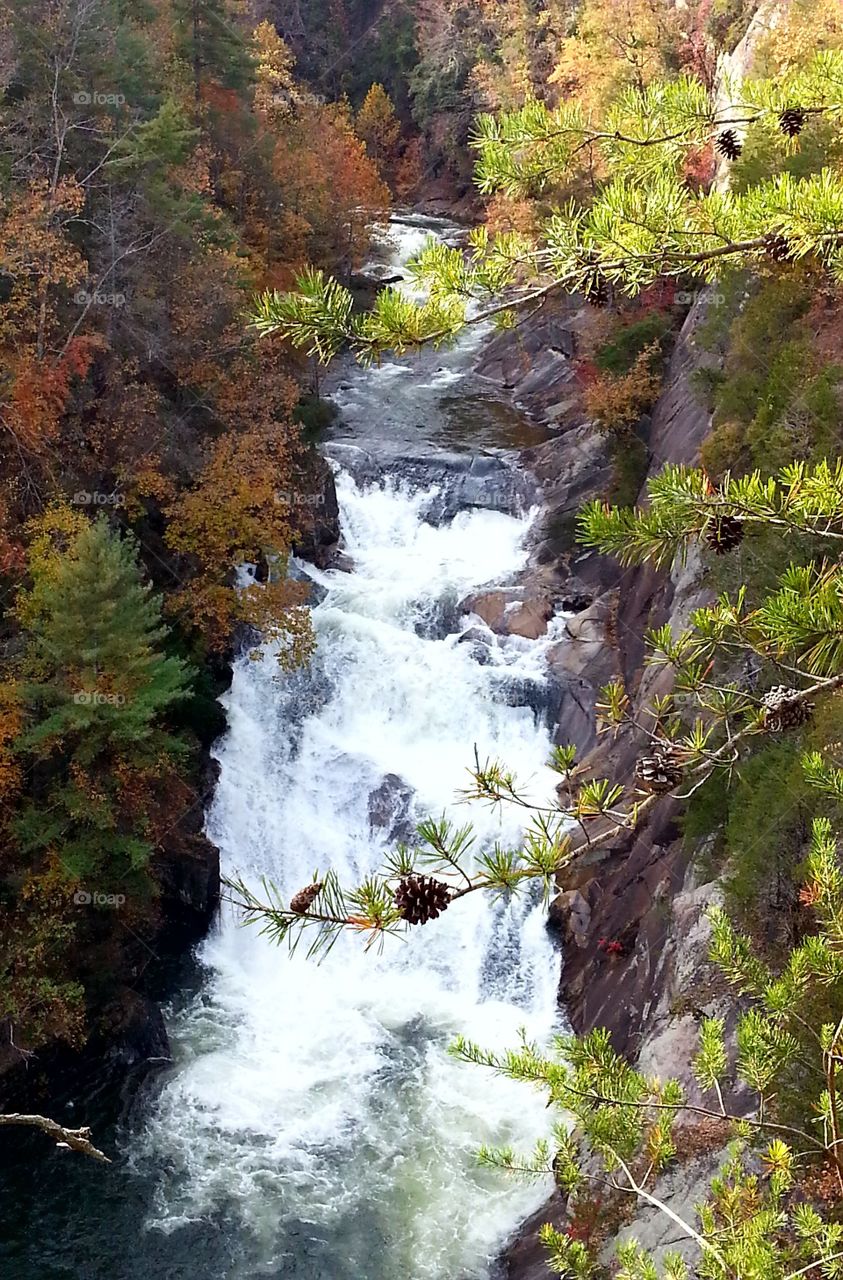 Beautiful waterfall with fall colors in Tallulah gorge state park, Georgia