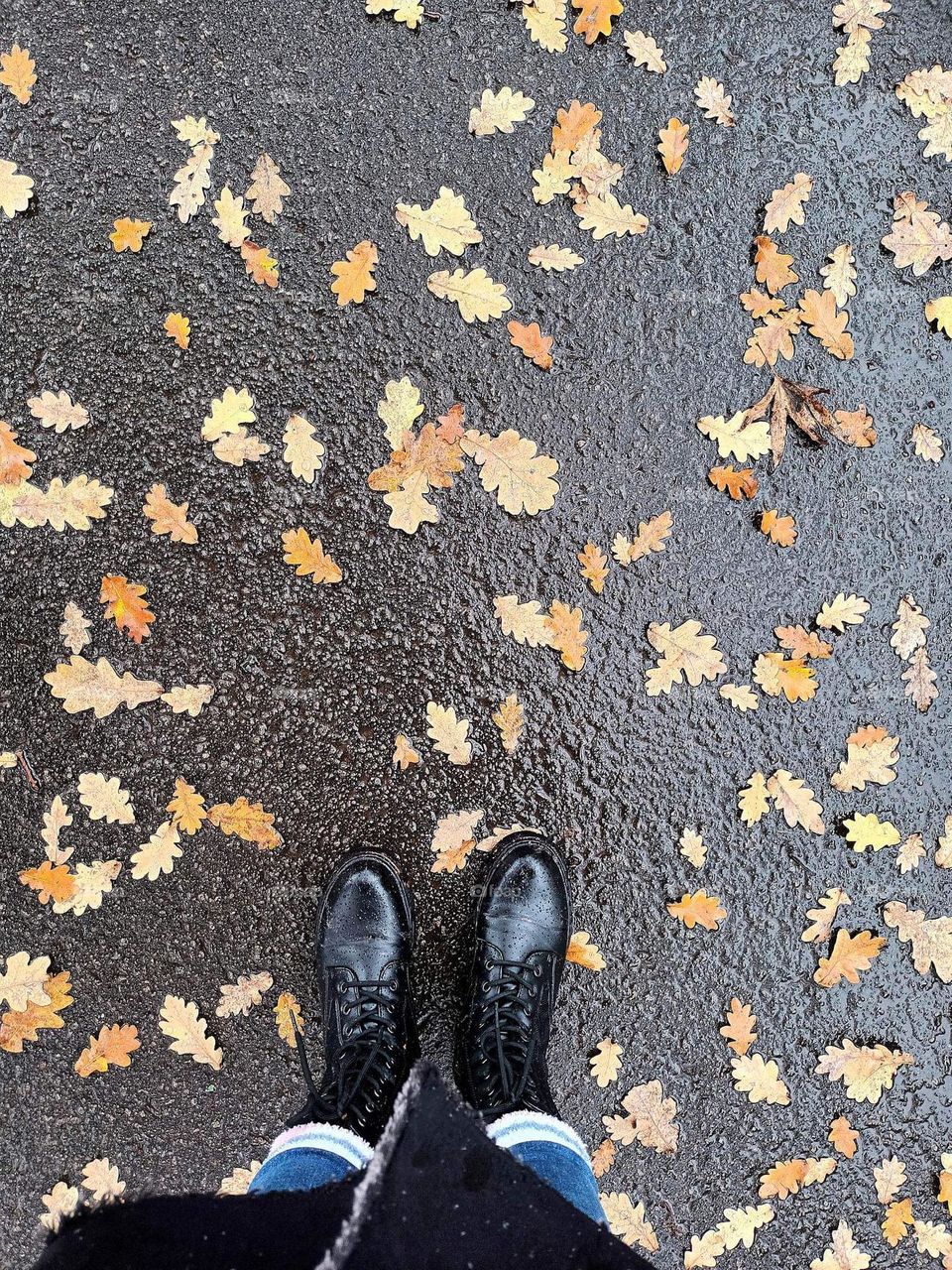 Parc de Mariemont , la louviere