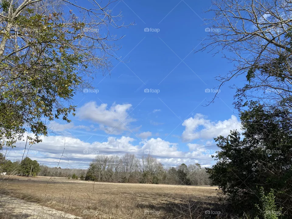 A beautiful day to go walking 