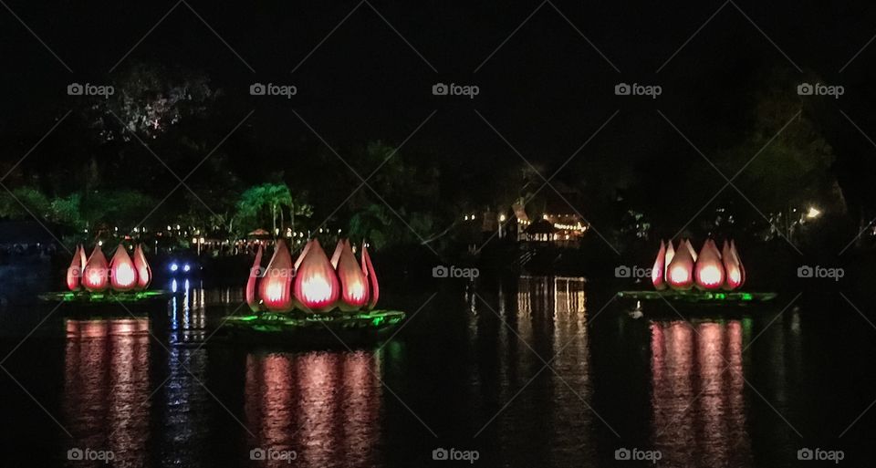 The River of Light show in the Animal Kingdom at Disney World.  Pretty impressive display. 