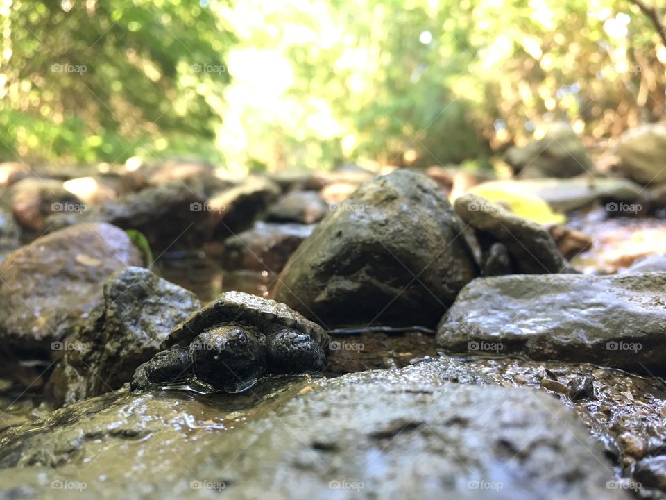 Tuttle rocks water landscape creek 